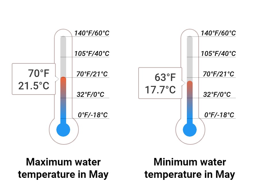 Average Sea temperature